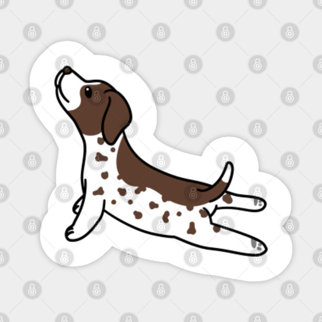German Shorthaired Pointer Yoga German Shorthaired Pointer Sticker Teepublic