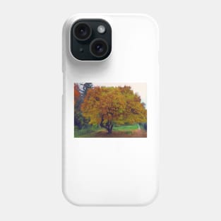 Autumn Tree in Switzerland Phone Case