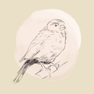 Hand drawn illustration of canary bird T-Shirt