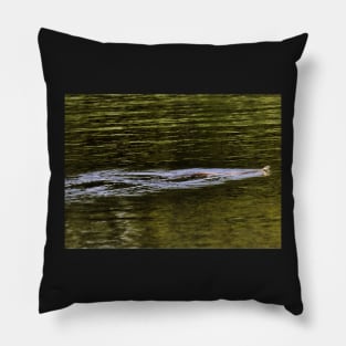 Norfolk Broads swimming snake  card Pillow