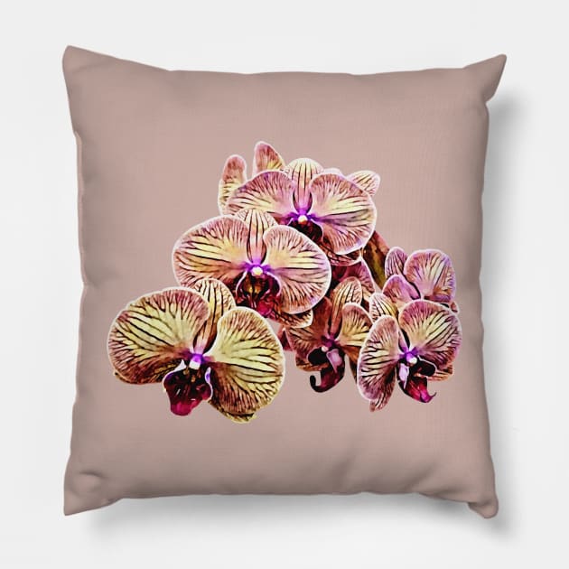 Group of Phalaenopsis Orchids Pillow by SusanSavad