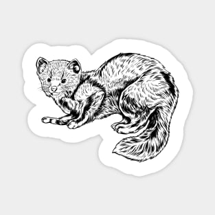 Line drawing - ferret Magnet