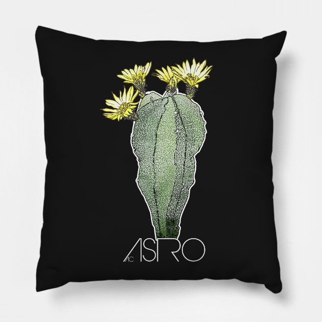 ASTRO By AgaCactus Pillow by AgaCactus