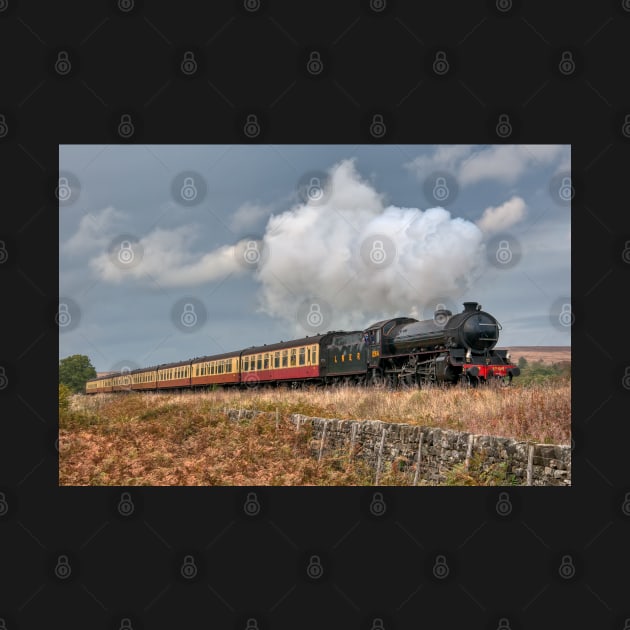 LNER Thompson Class B1 Steam Locomotive by SteveHClark