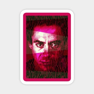 Robert Downey Jr Mugshot Magnet