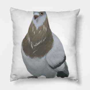 Cute Pigeon Drawing Pillow