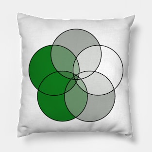 Grey-Aromantic Flag Pillow