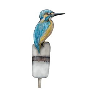 KIngfisher on ice 5 T-Shirt