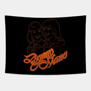 Donny And Marie Tapestry