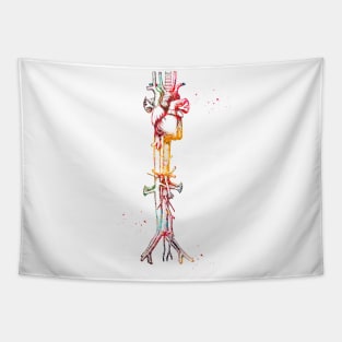 Aorta vein and heart Tapestry