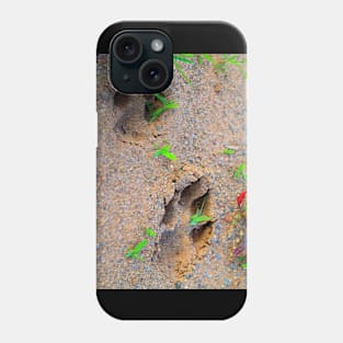 paw prints Phone Case