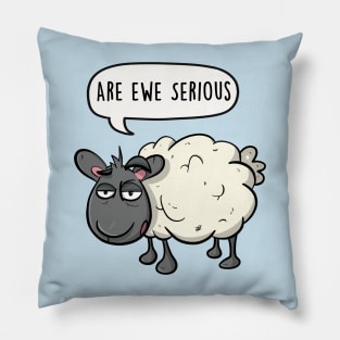 Are ewe serious Pillow