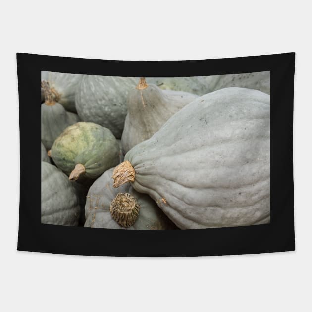 Grey pumpkins Tapestry by sma1050