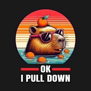 Ok I Pull Down Funny Capybara T-Shirt