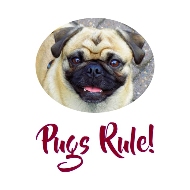 Pugs Rule! by Naves