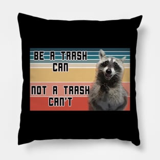 Inspirational Raccoon Pillow