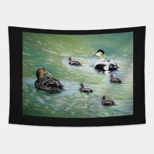 Eiders in family Tapestry