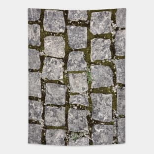 Stone Path Texture Tapestry