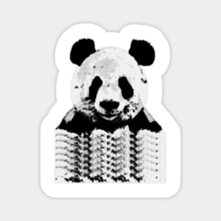 Panda in the building Magnet