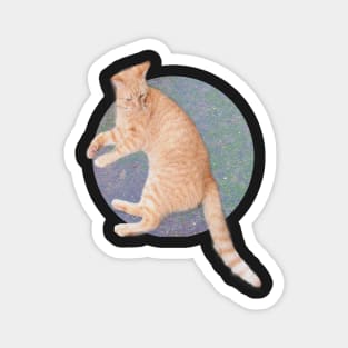 Cat Lounging Magnet