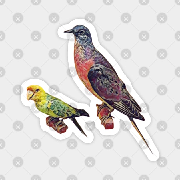 Extinct Birds (passenger pigeon and Carolina parakeet) Magnet by Animal Surrealism