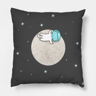 Cat On A Moon Pattern Pillow