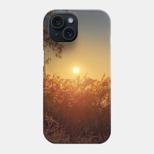 Evening silence at the lake Phone Case