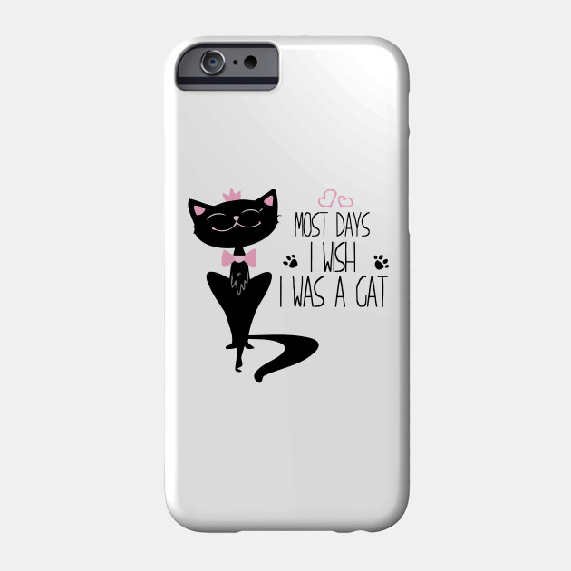 Cat Cats Cat Lover Cute Cat Kitty Kitty Cat Cat Cats Cat Lover