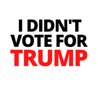 i didn't vote for trump T-Shirt