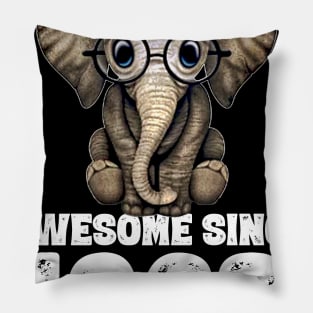 Awesome since 1962 58 Years Old Bday Gift 58th Birthday Pillow