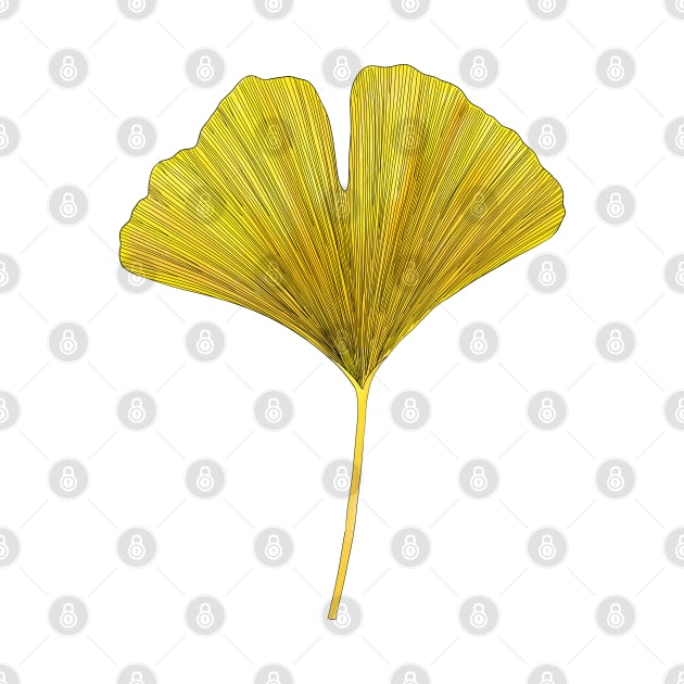 Yellow ginkgo leaf by ozdv