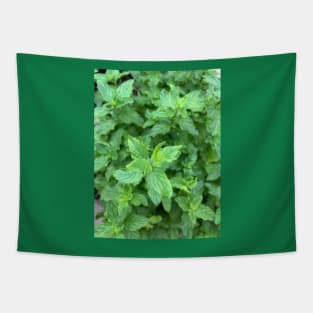 Mint Tapestry