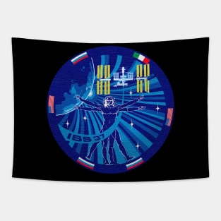 Black Panther Art - NASA Space Badge 163 Tapestry