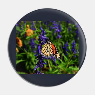 Butterfly of hope Pin