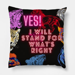 Will Stand for what is right. Pillow