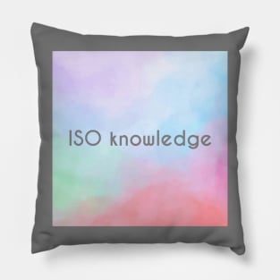 In Search Of Knowledge Pillow