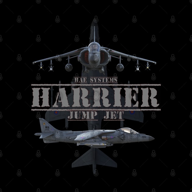 harrier jump jet by Dingo Digital