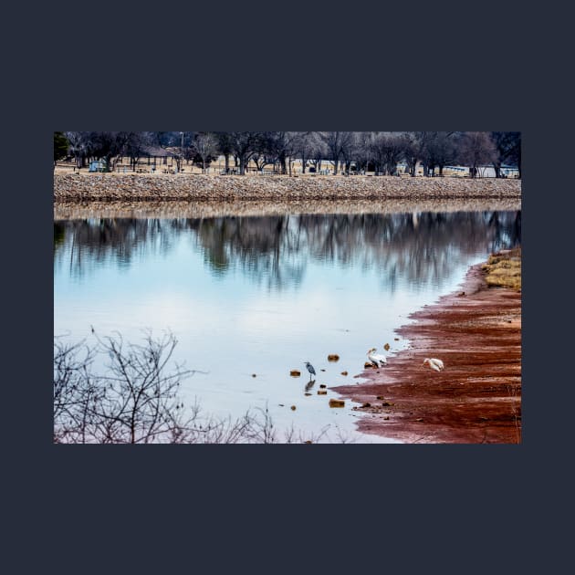 Salt Fork of the Arkansas River in Oklahoma by Debra Martz by Debra Martz