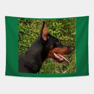 doberman pinscher Tapestry