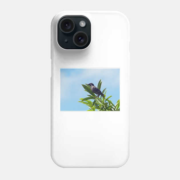 LE PANASONIC FZ 200 PAR OKAIO CRÉATION Phone Case by caillaudolivier