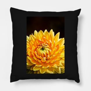 Bright Yellow Chrysanthemum Pillow