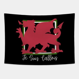 Je Suis Gallois, Welsh in France Tapestry