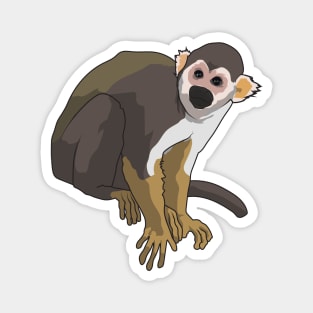 Squirrel Monkey Magnet