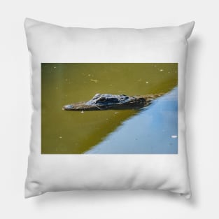 Gatorland alligator Pillow