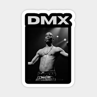 DMX Magnet