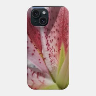 Beautiful photograph of lily flower Phone Case