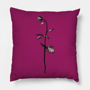 Rose Pillow