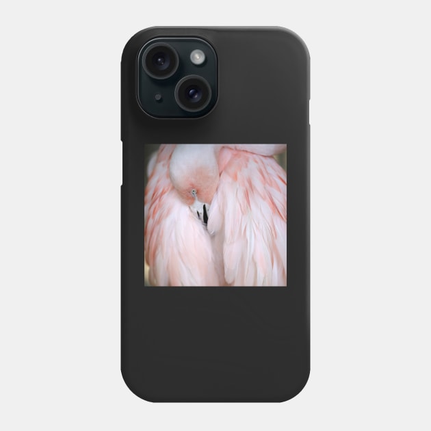 Flamingo #2 Phone Case by ALICIABOCK