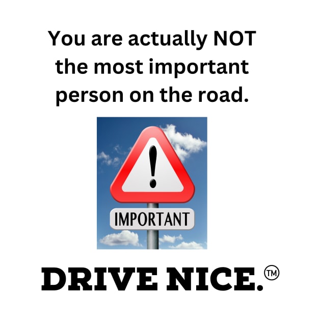 Drive nice, most important by TraciJ