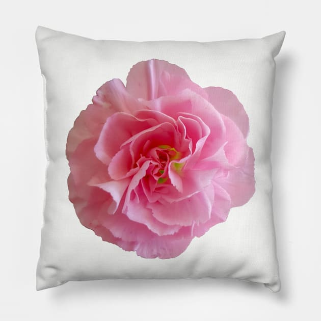 Pink Carnation Floral Photo Pillow by ellenhenryart